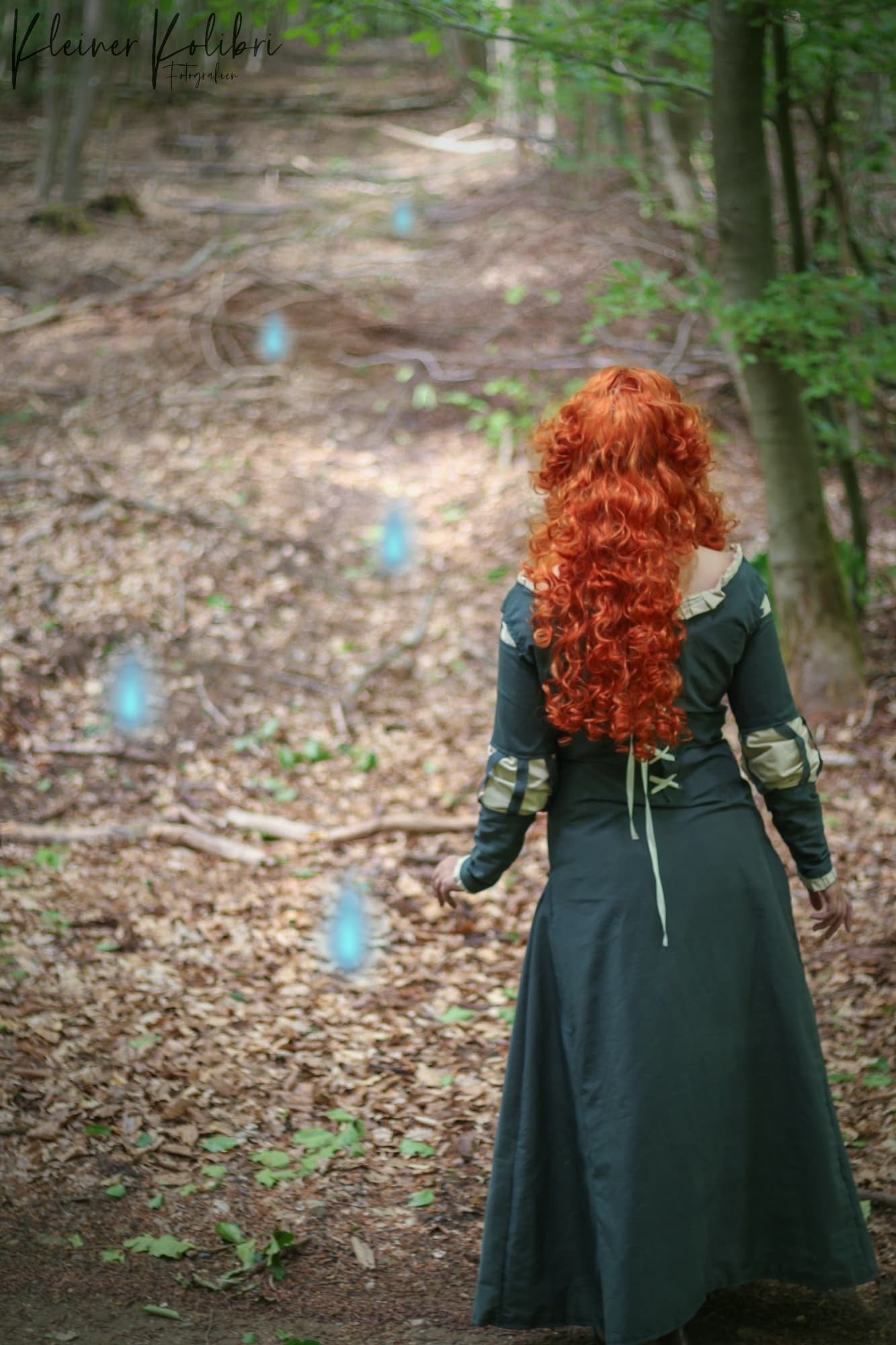 Merida (Disney) - Photo 39