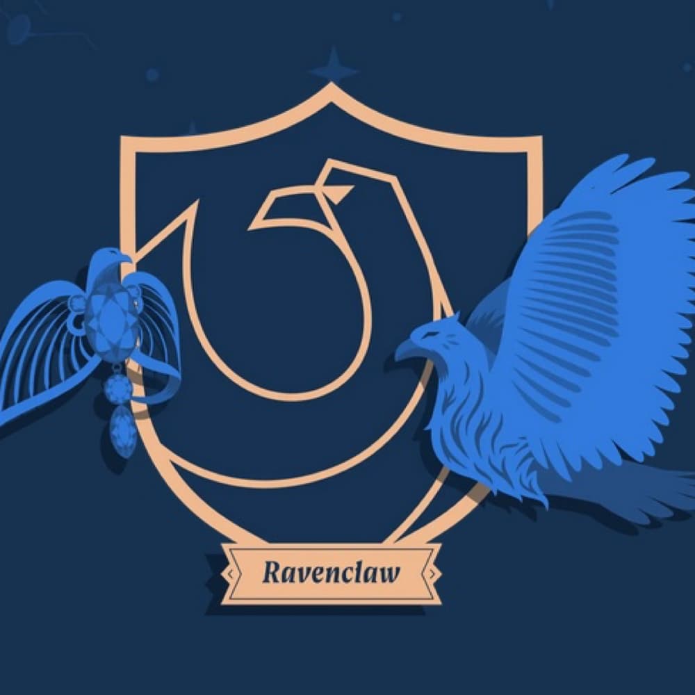 Ravenclaw student