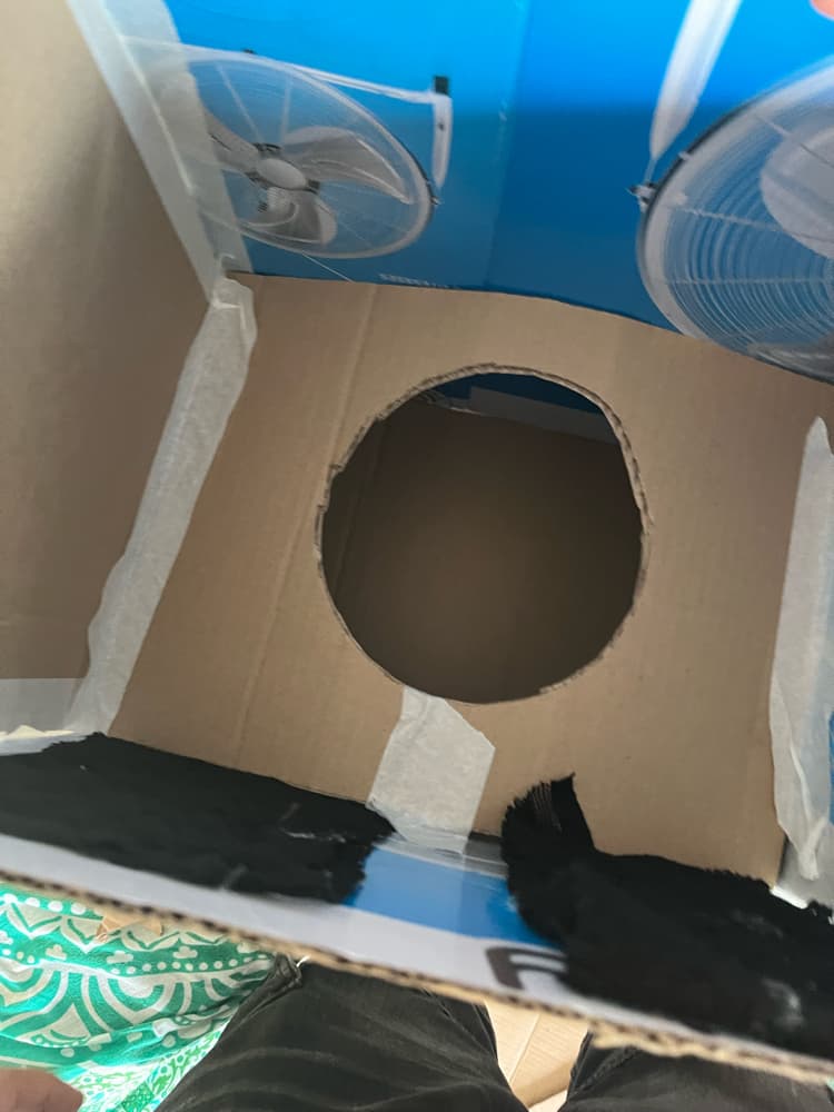 Masque 📦 - Photo 2