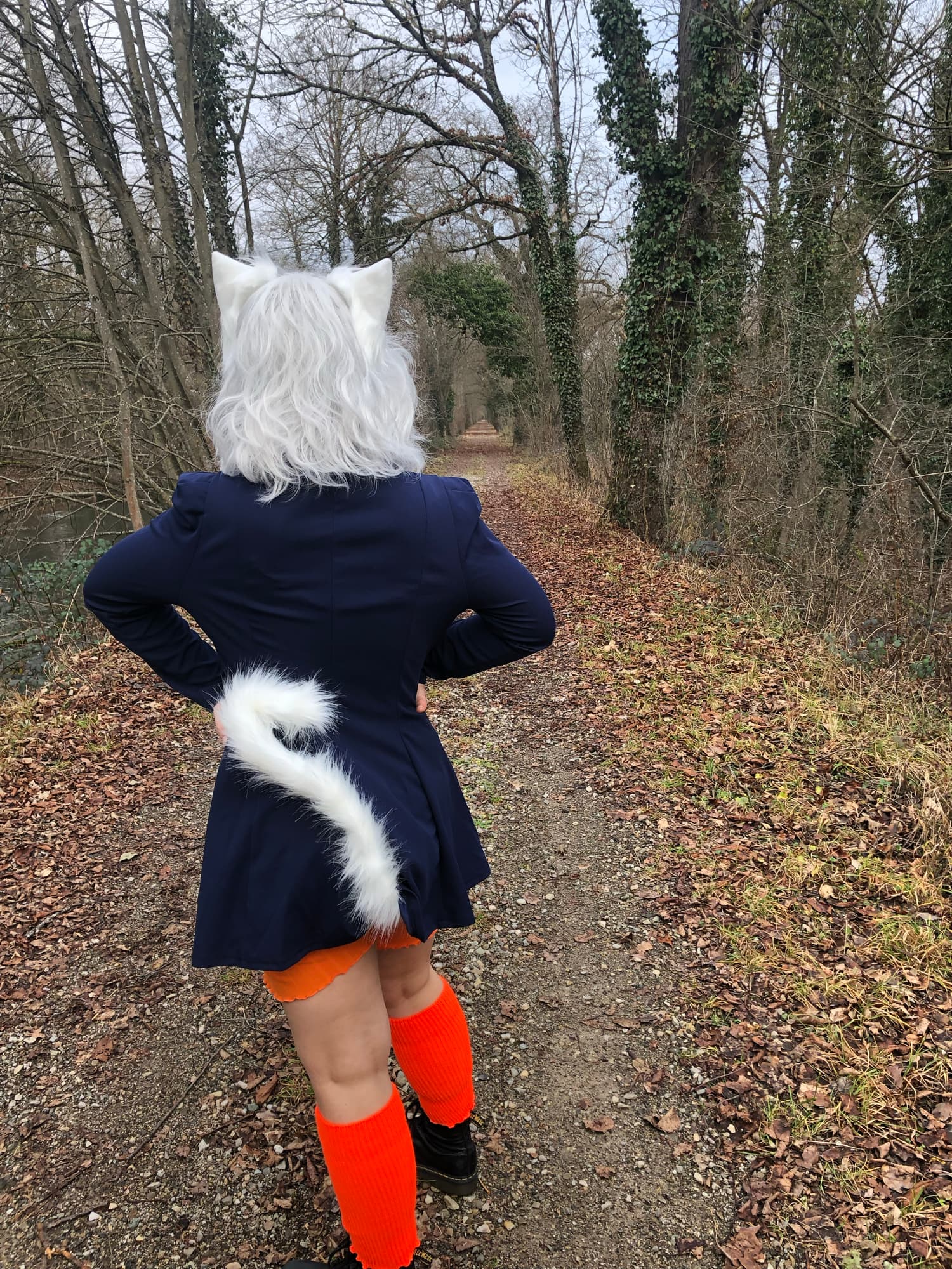 Pitou dans les bois - Photo 8
