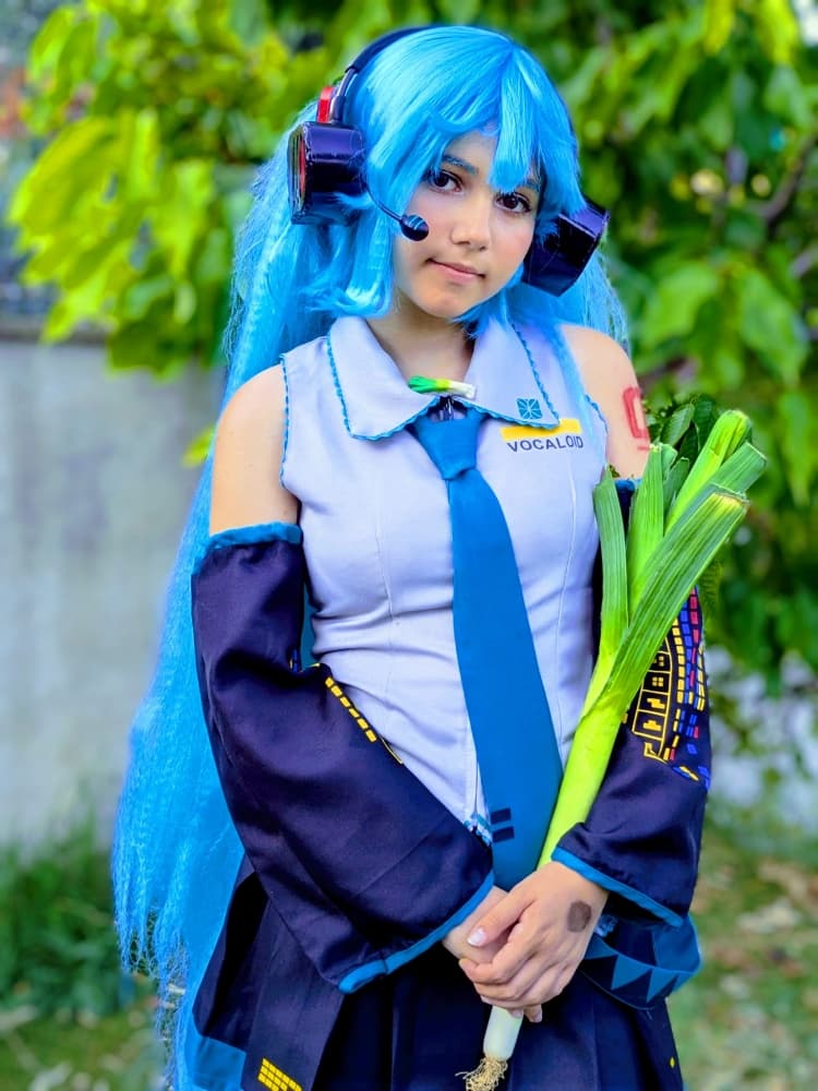 Hatsune Miku 6/25 - Photo 9