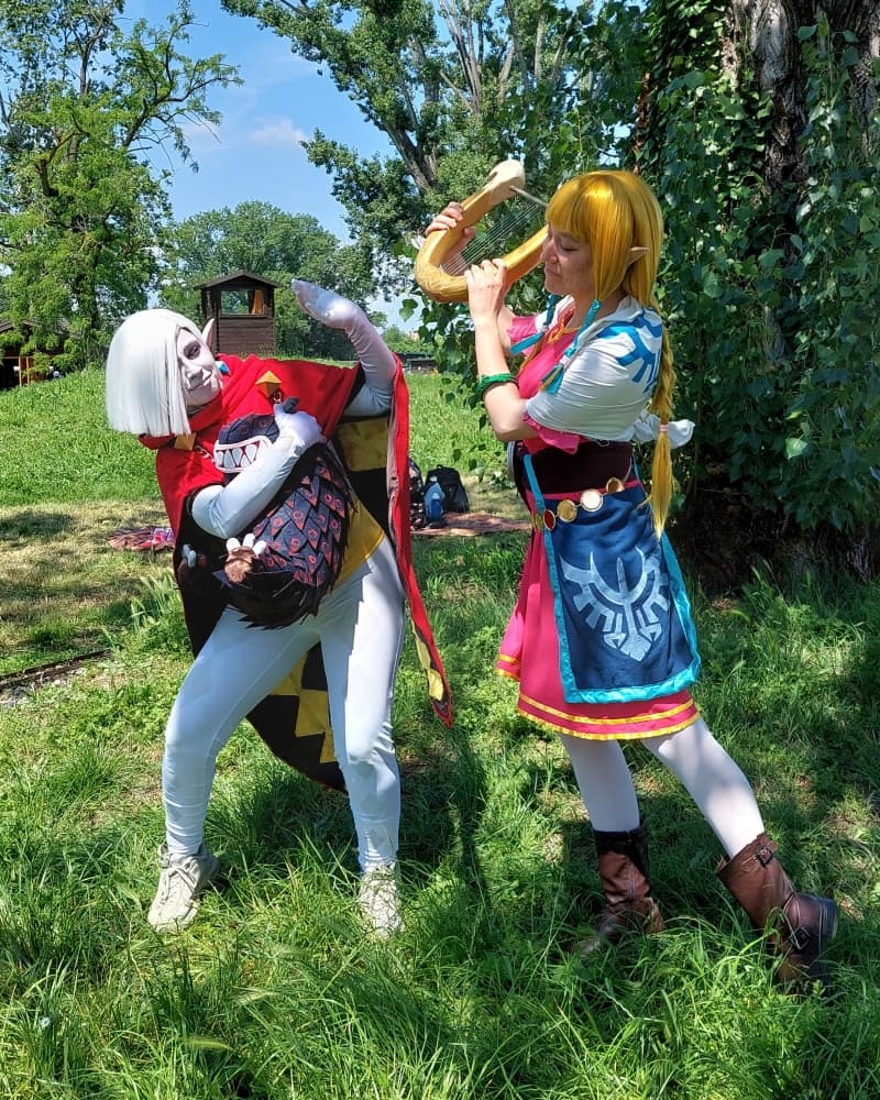 Skyward sword Zelda - Photo 10