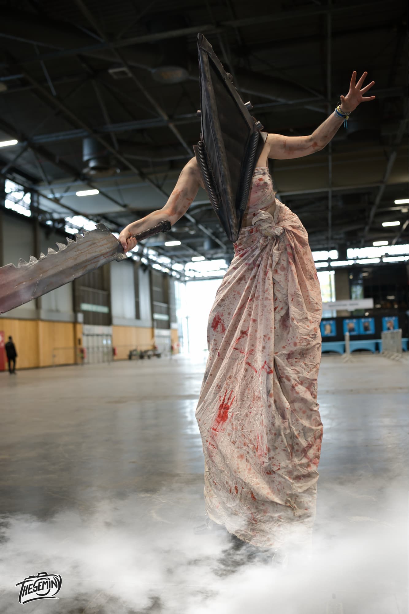 Pyramid head  - Photo 8