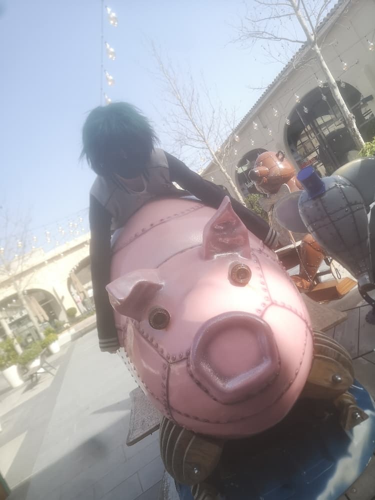 Izuku extérieur  - Photo 7