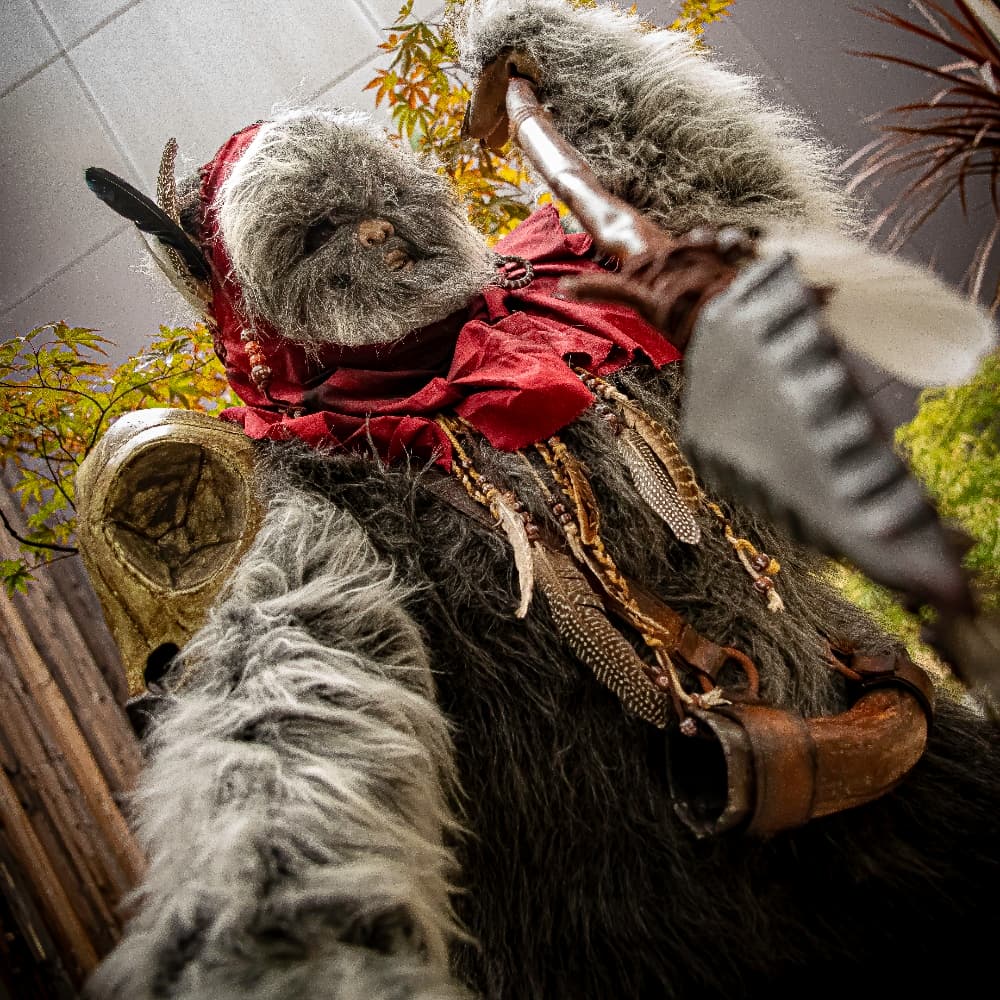 Un Ewok à Vitrolles