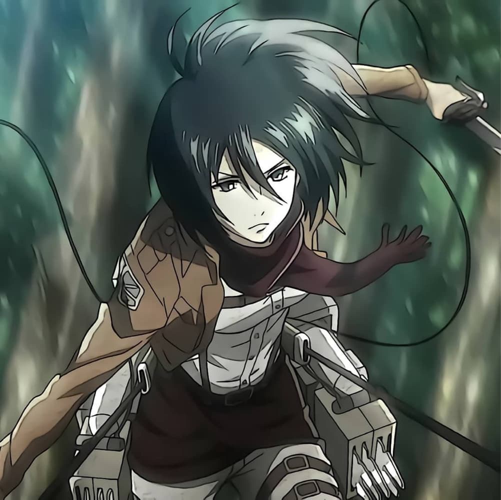 Mikasa 