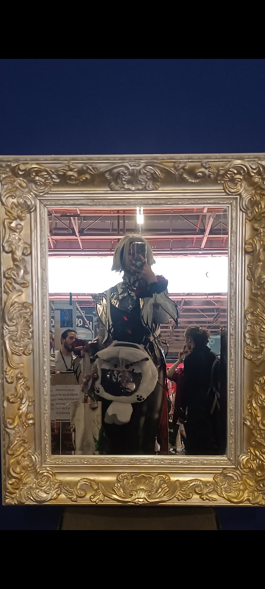 Arlecchino ! - Photo 20