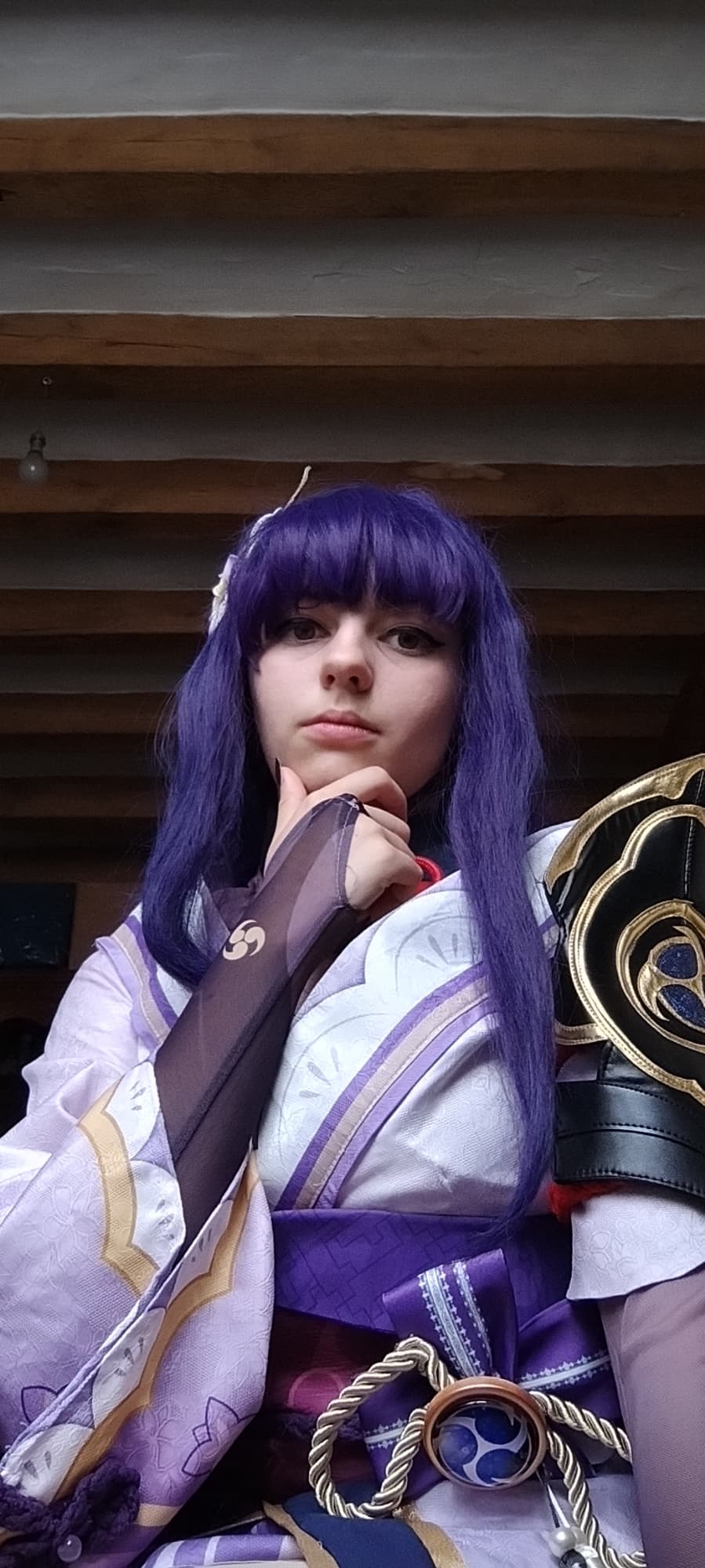 Raiden shogun  - Photo 6