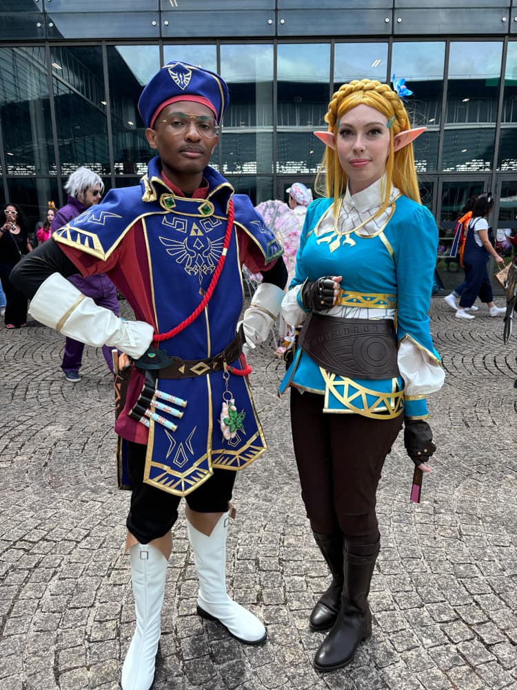 Link royal guard - Photo 10