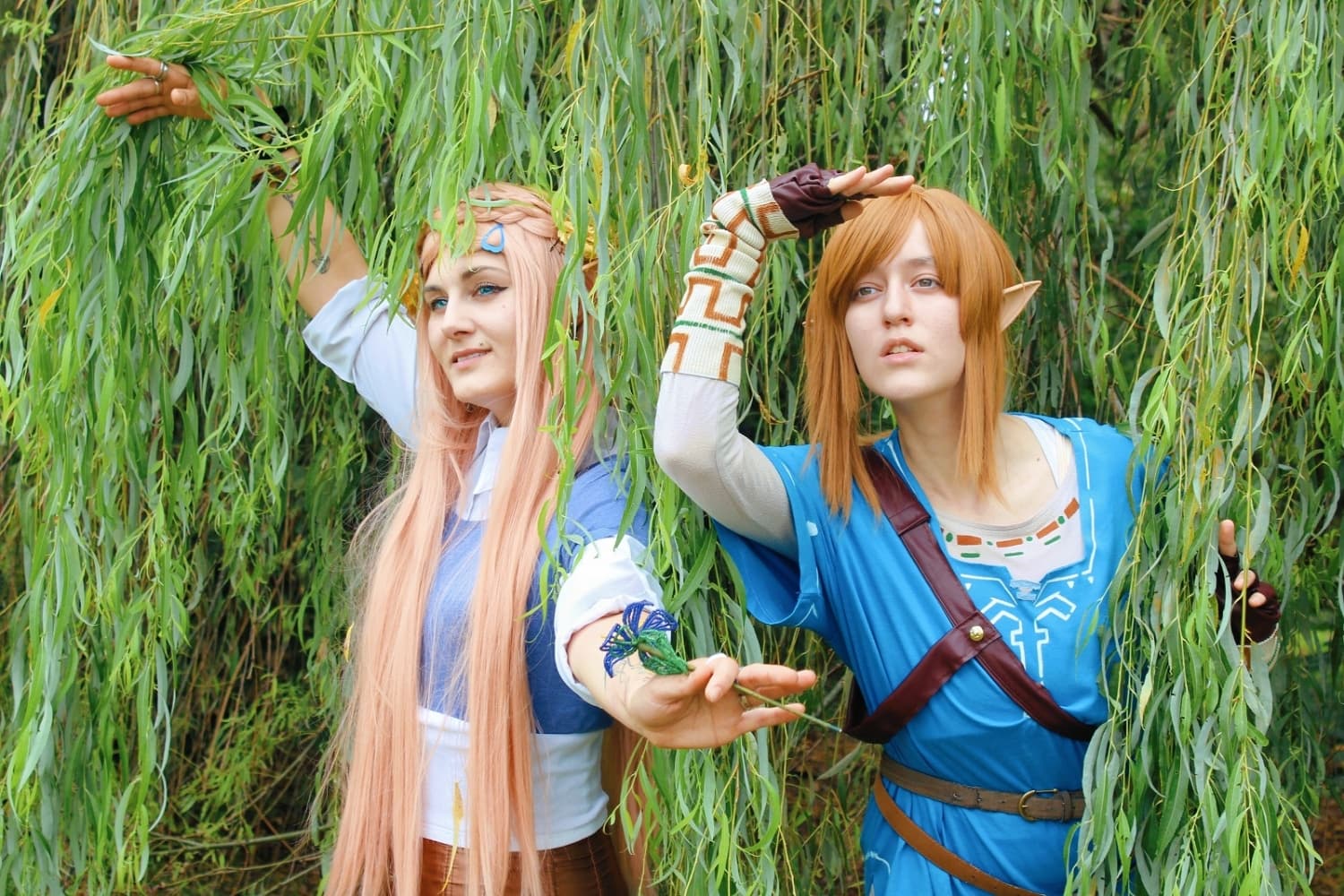 Link (Botw) - Photo 19