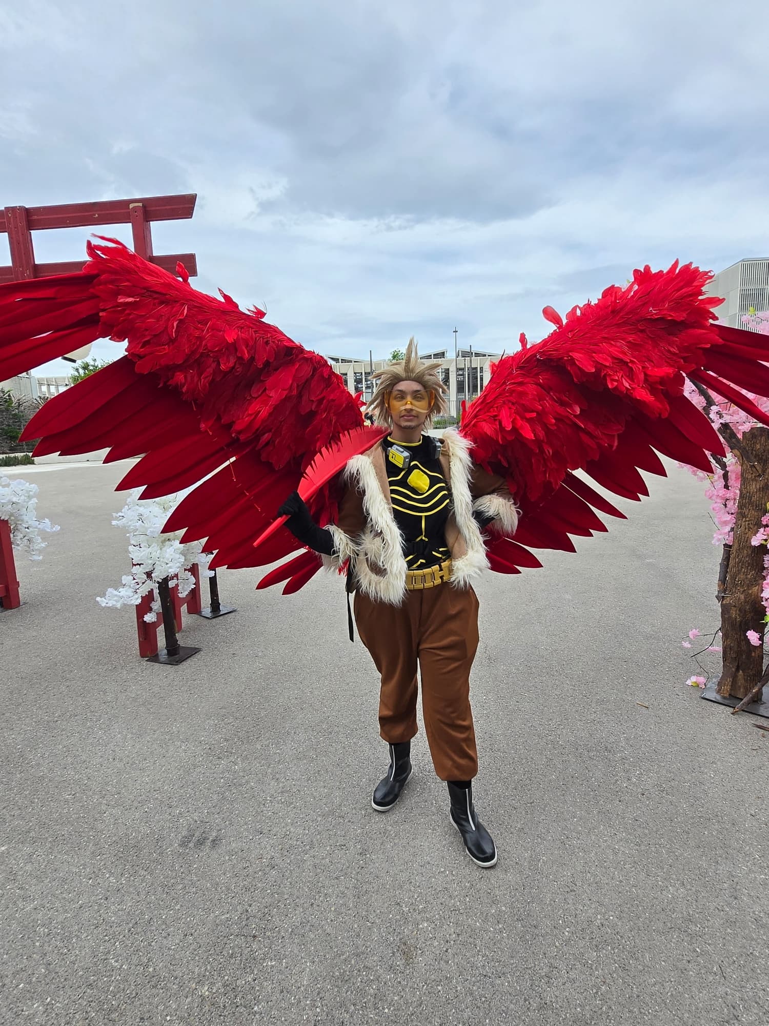 Hawks  - Photo 20