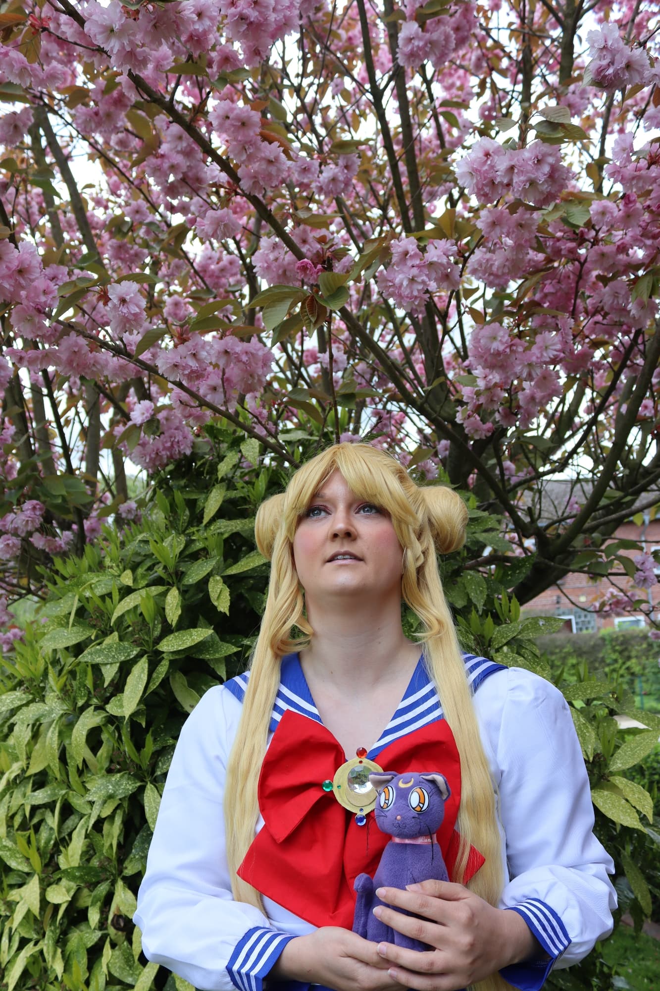 Usagi Tsukino  - Photo 2