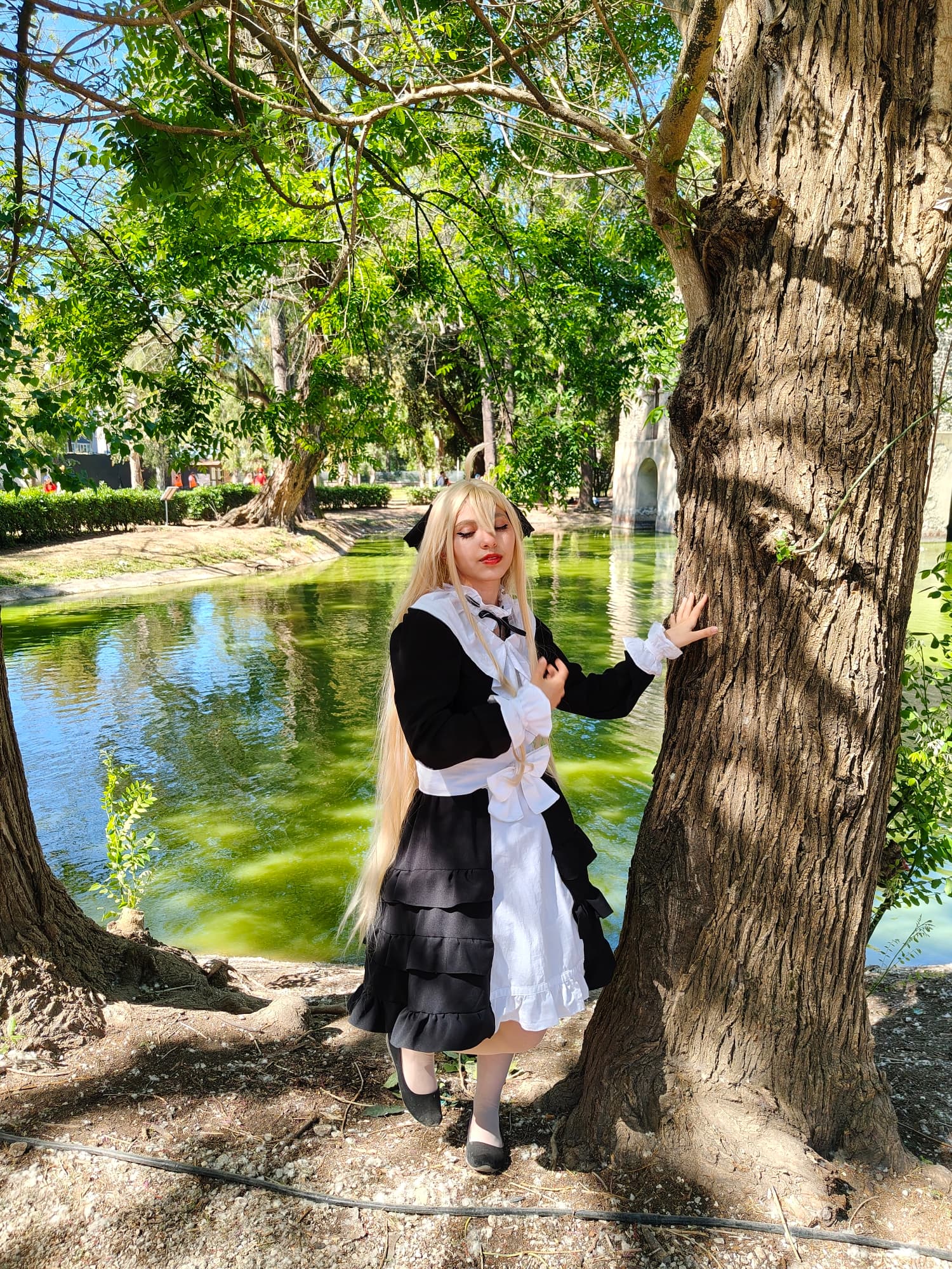 Mavis Vermilion - Photo 7