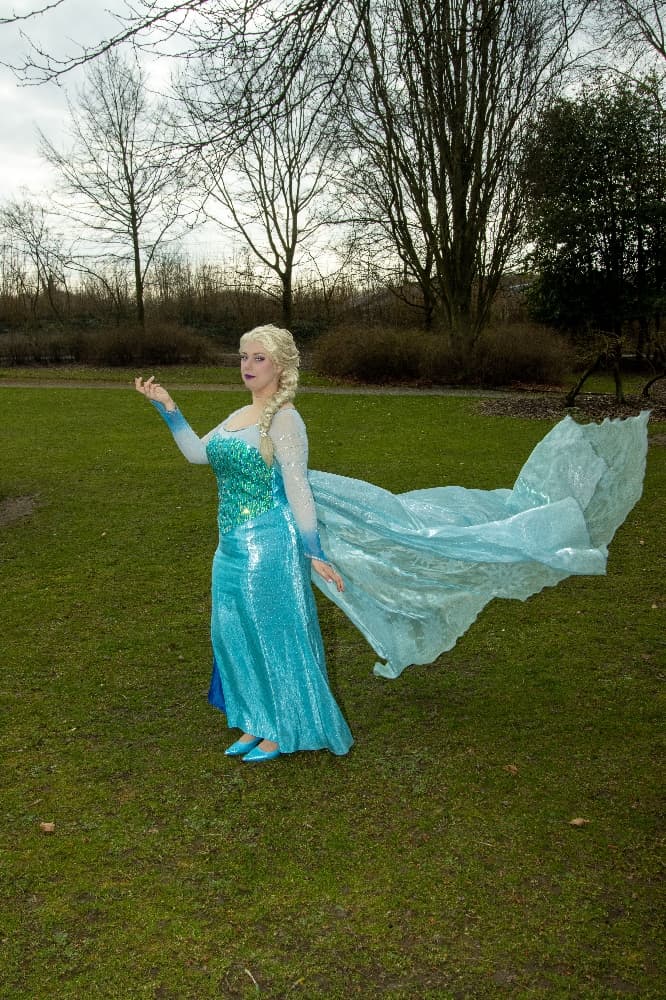 Elsa - Let it go - Photo 11