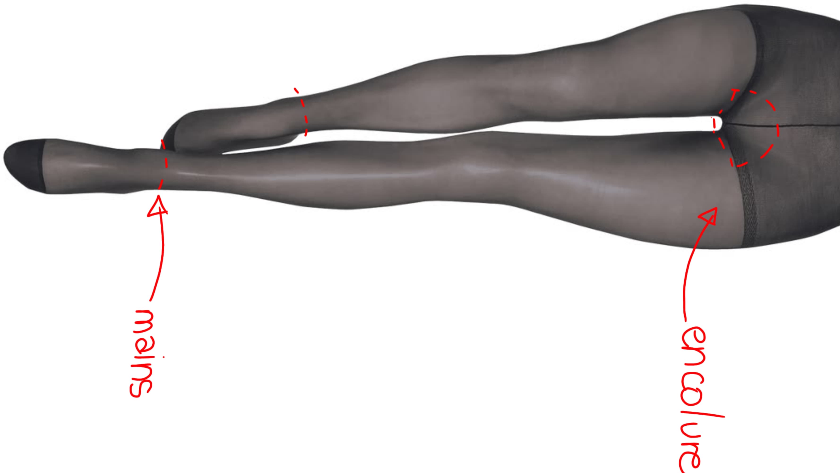 Tuto express for the back