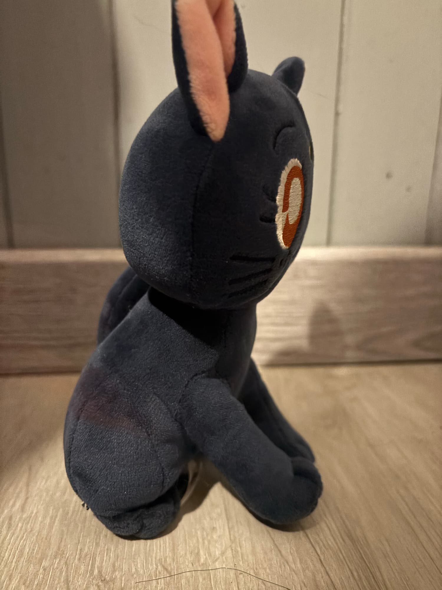 Chat (Sailor moon) - Photo 8