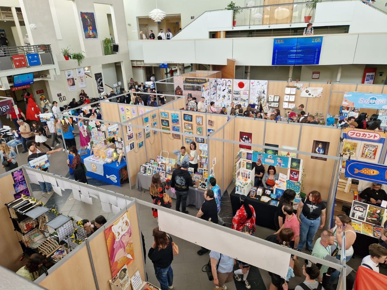 TGS Springbreak 2025 - Photo 7