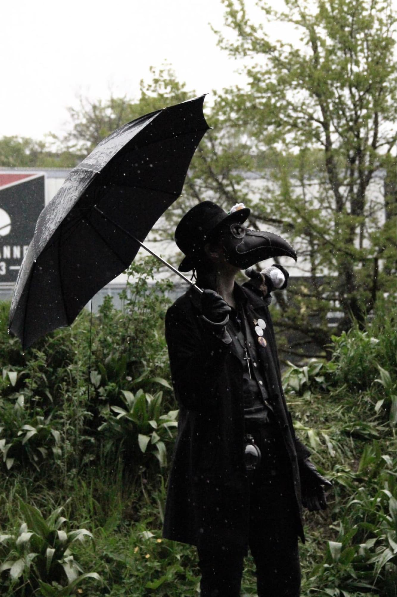 Pesty - polymanga  - Photo 6