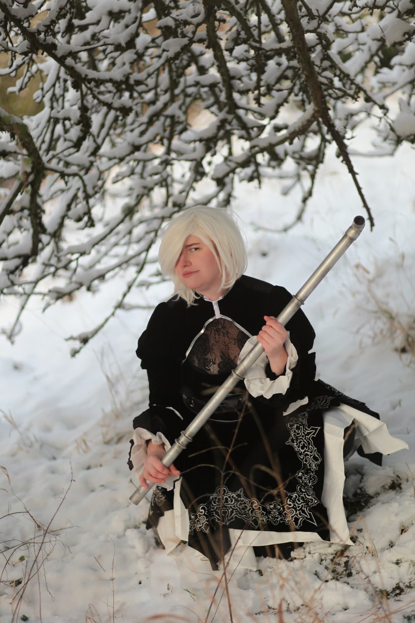 2B dans la neige - Photo 2