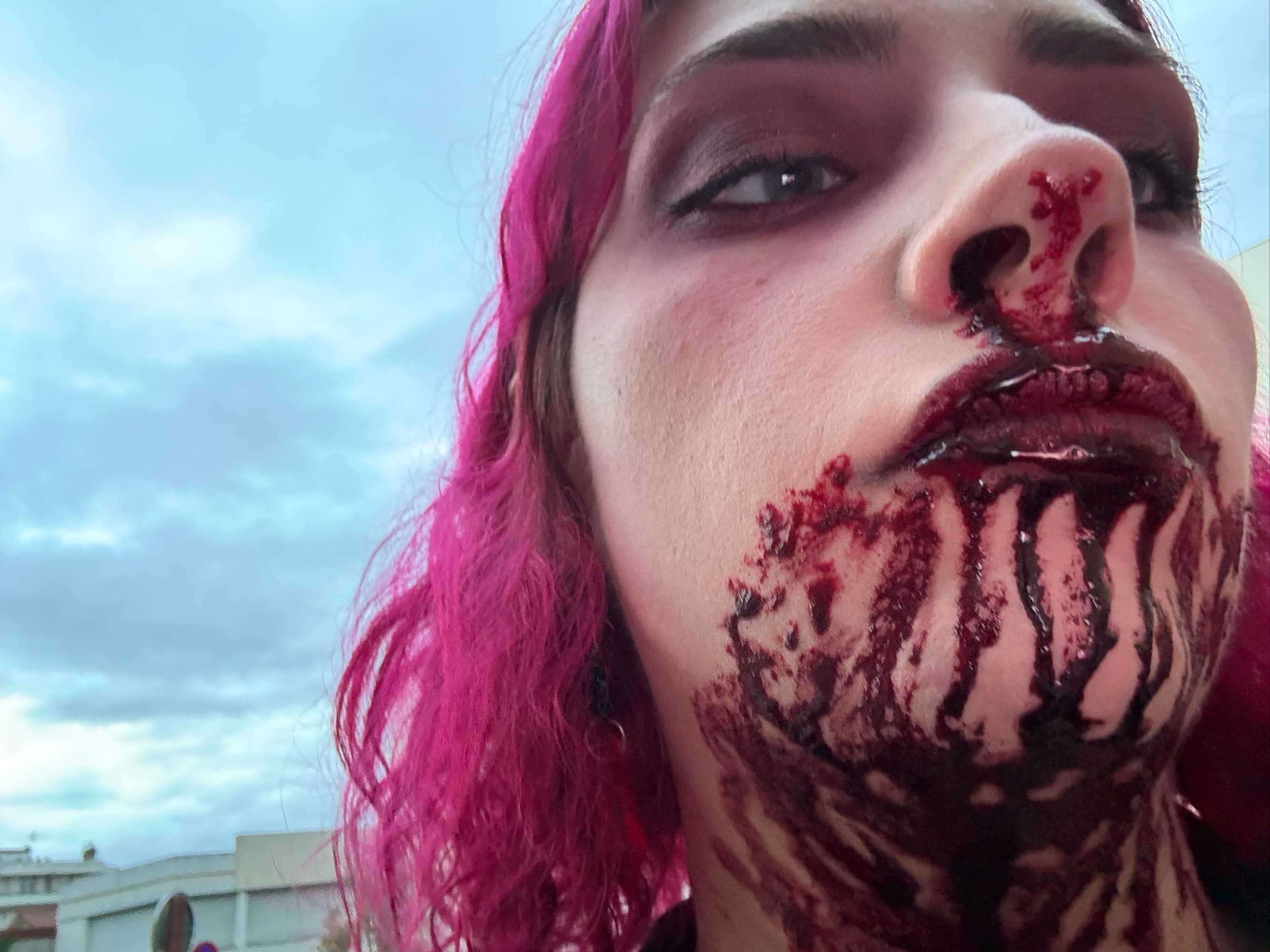 Costests (de la d) - Photo 11