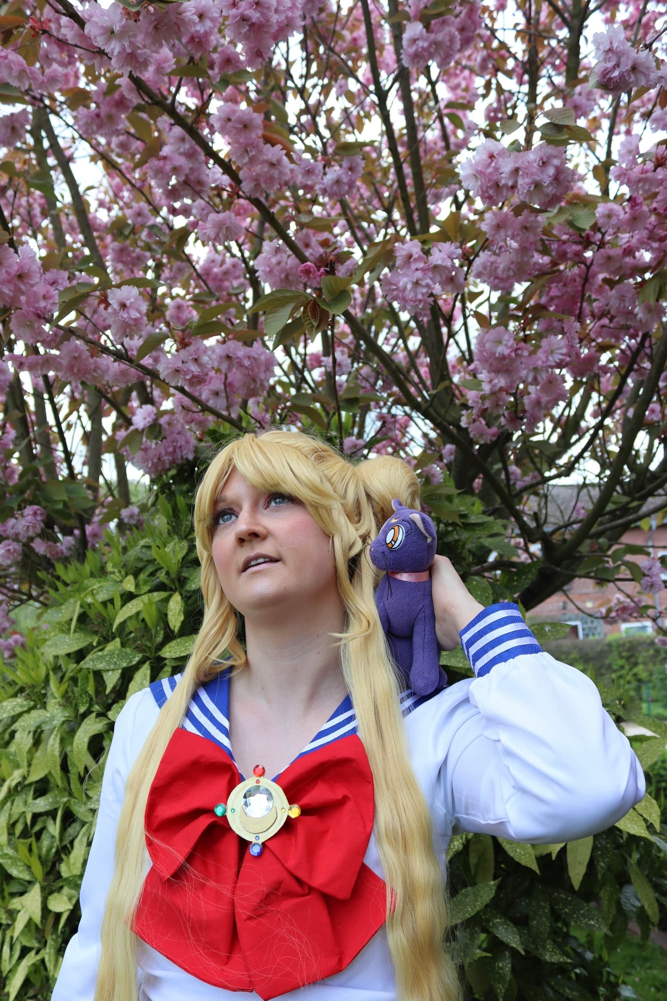 Usagi Tsukino  - Photo 1