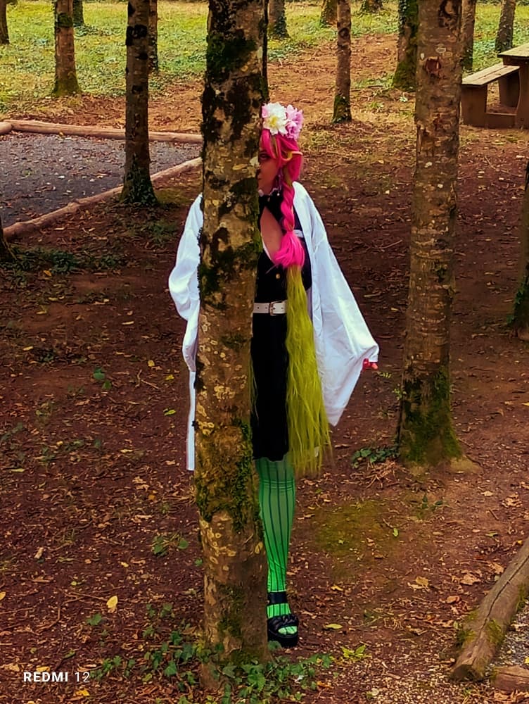 Mitsuri KANROJI - Photo 28