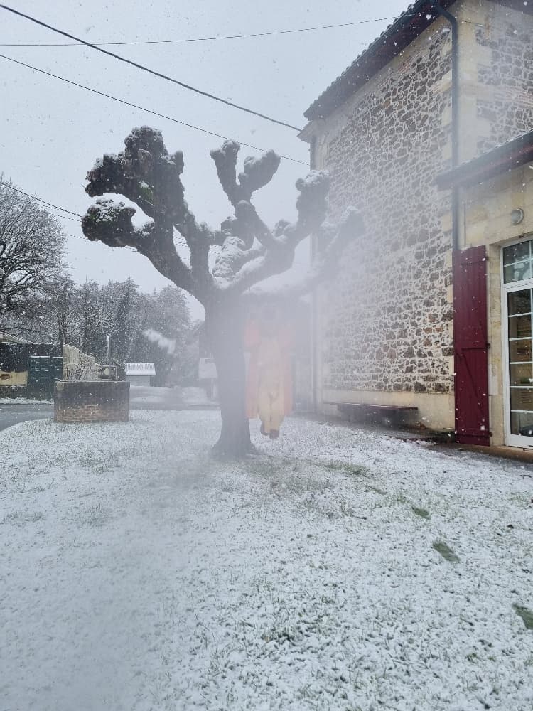 Moinegi n'a pas froi - Photo 4