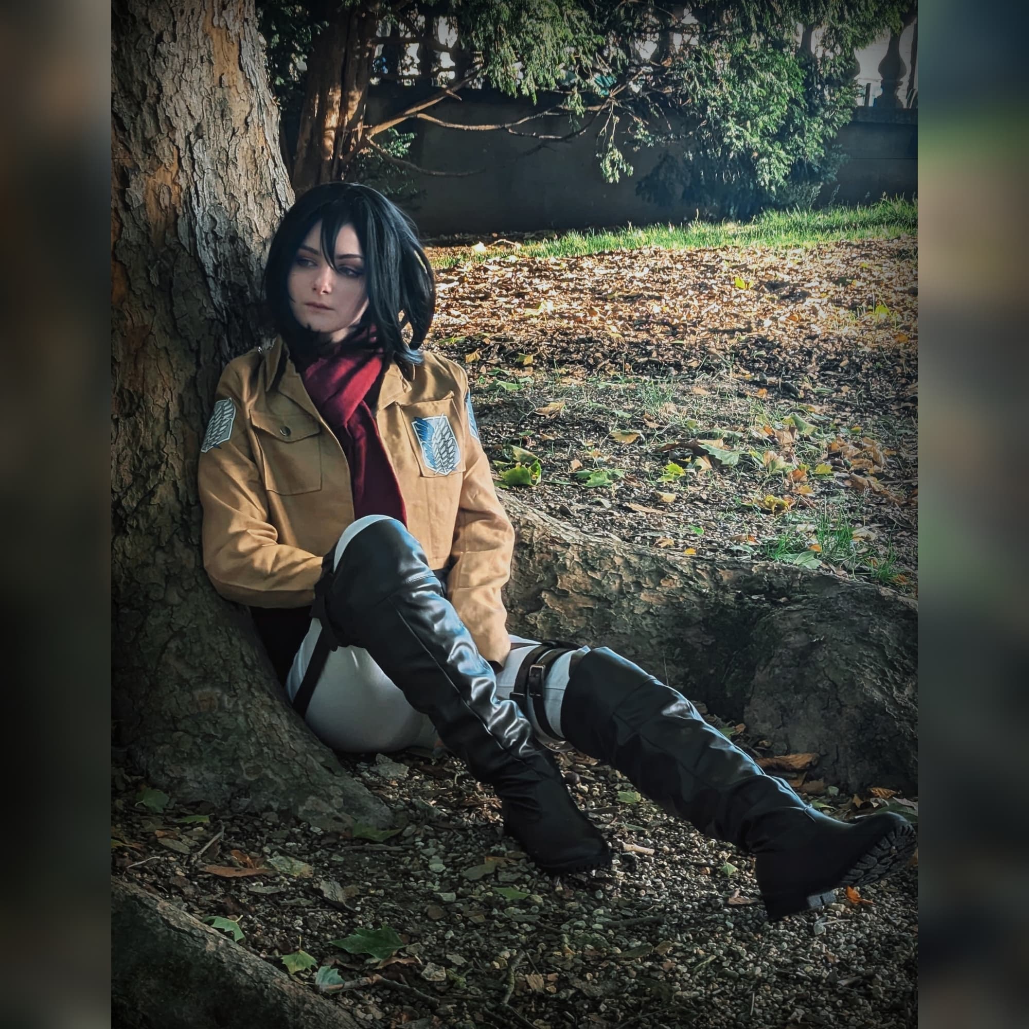 Mikasa  - Photo 3