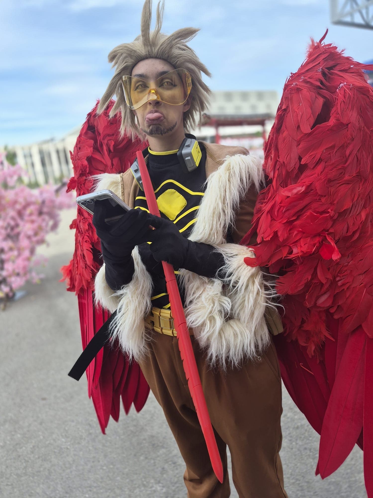 Hawks  - Photo 37