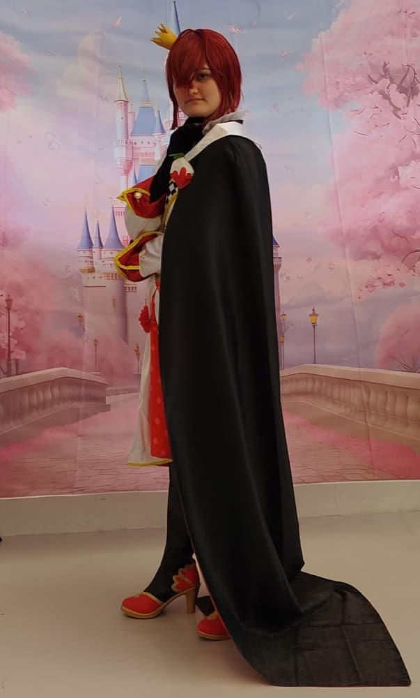 Twisted wonderland  - Photo 19