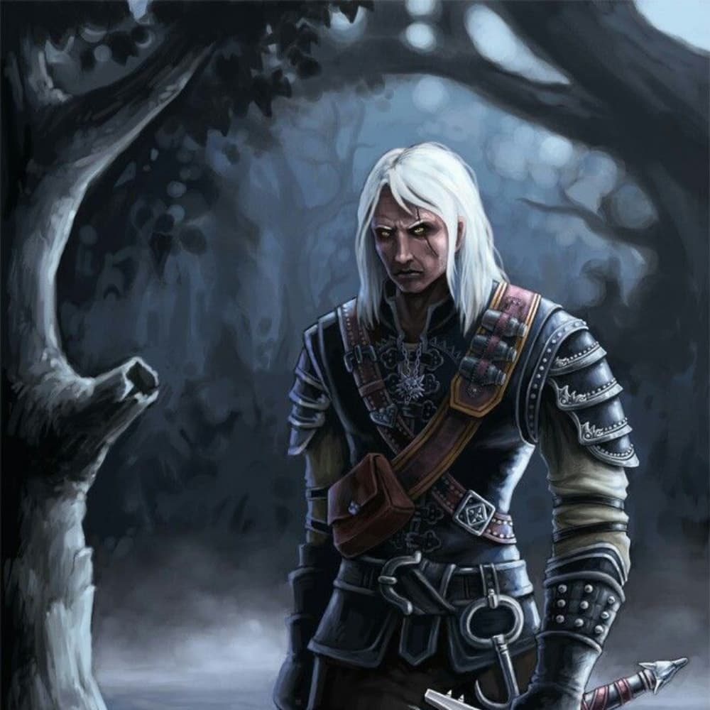 Geralt book armor