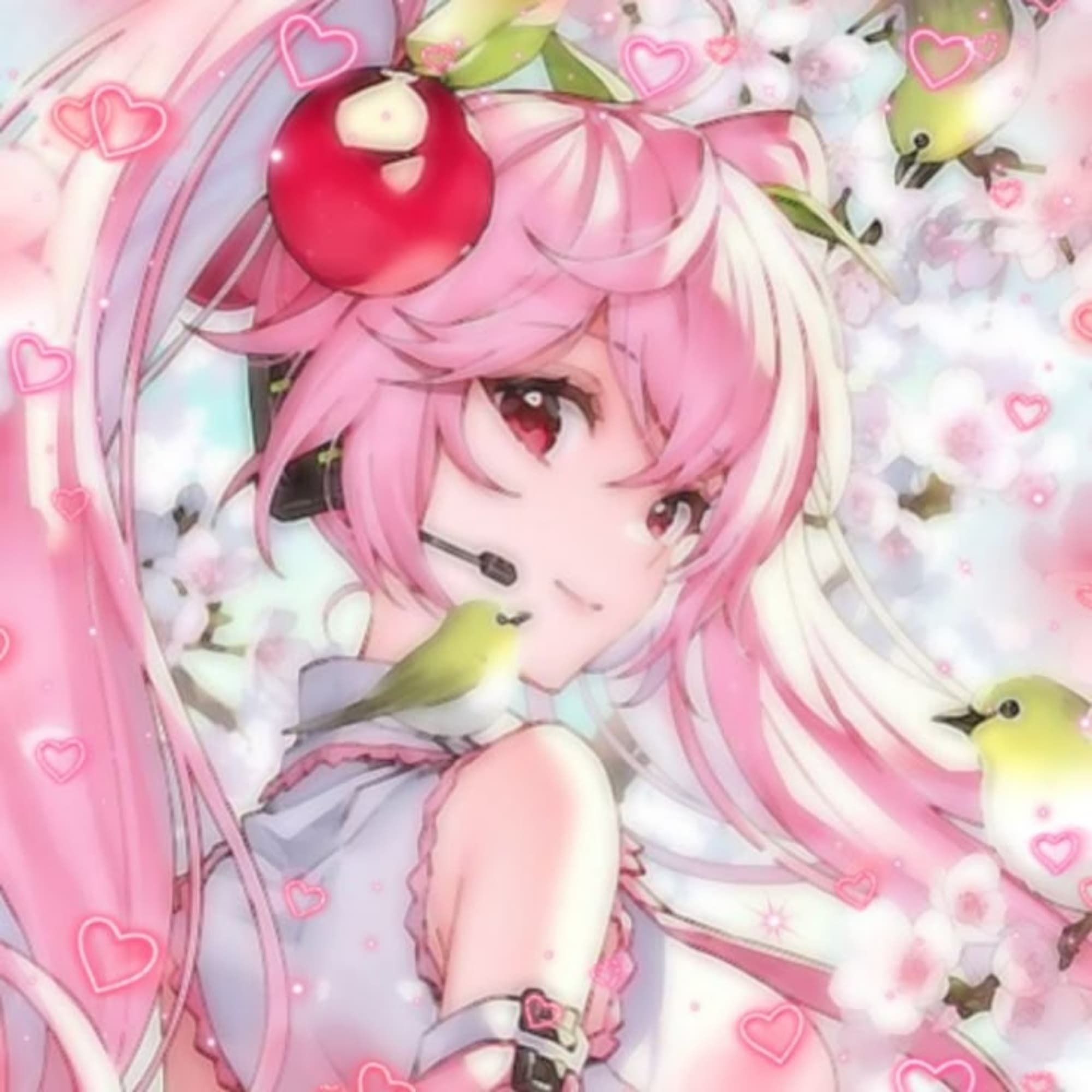 Sakura miku