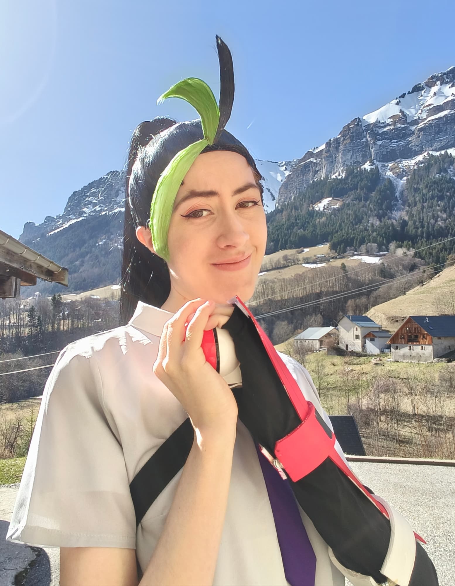 Menzi (V1) P1 - Photo 5