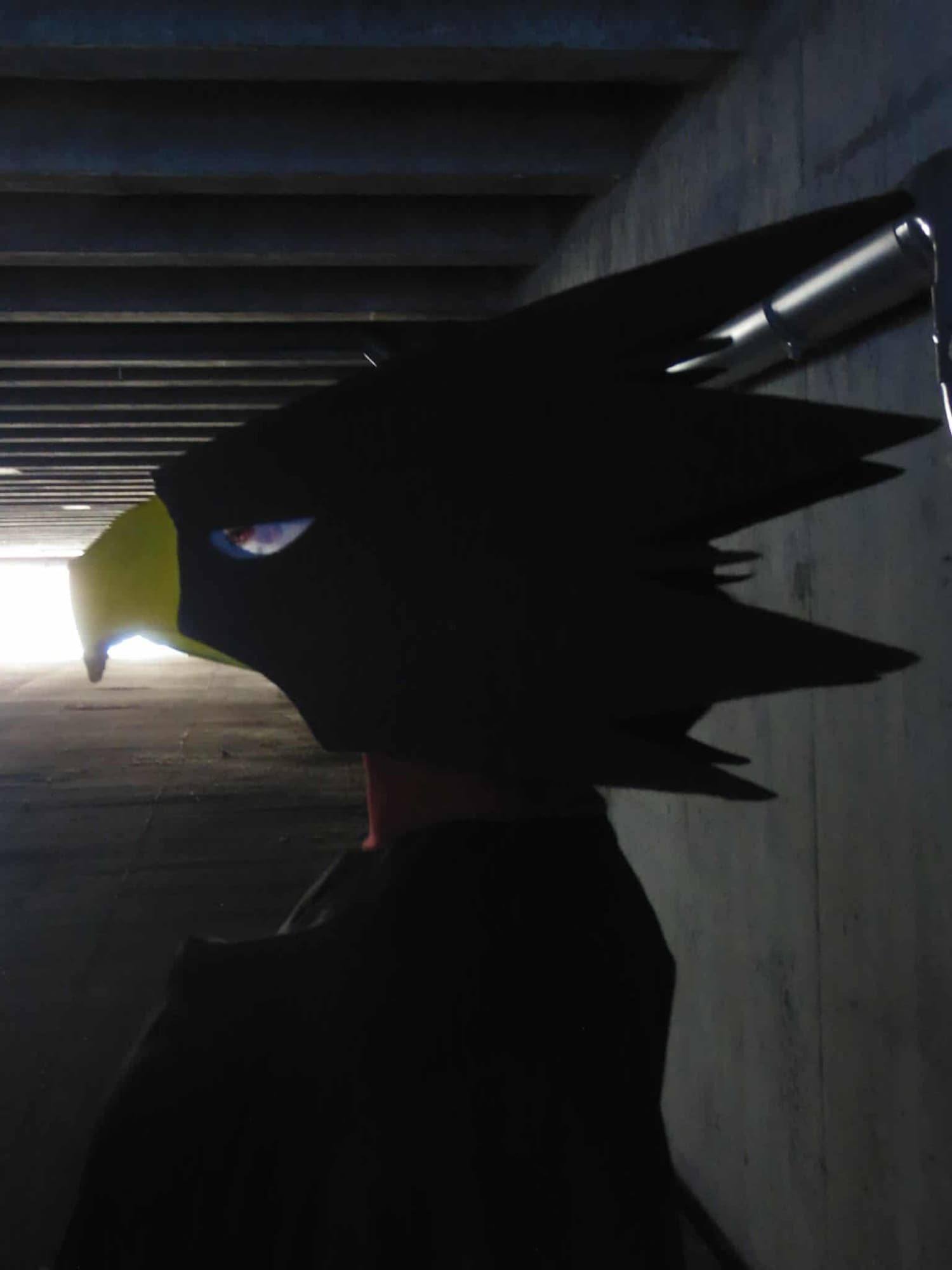 Tokoyami - JapanExpo - Photo 6