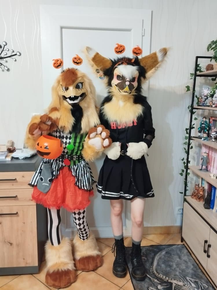 Photos Tapioca - Photo 12