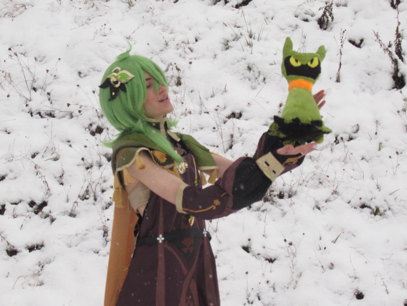 Collei (neige) - Photo 3