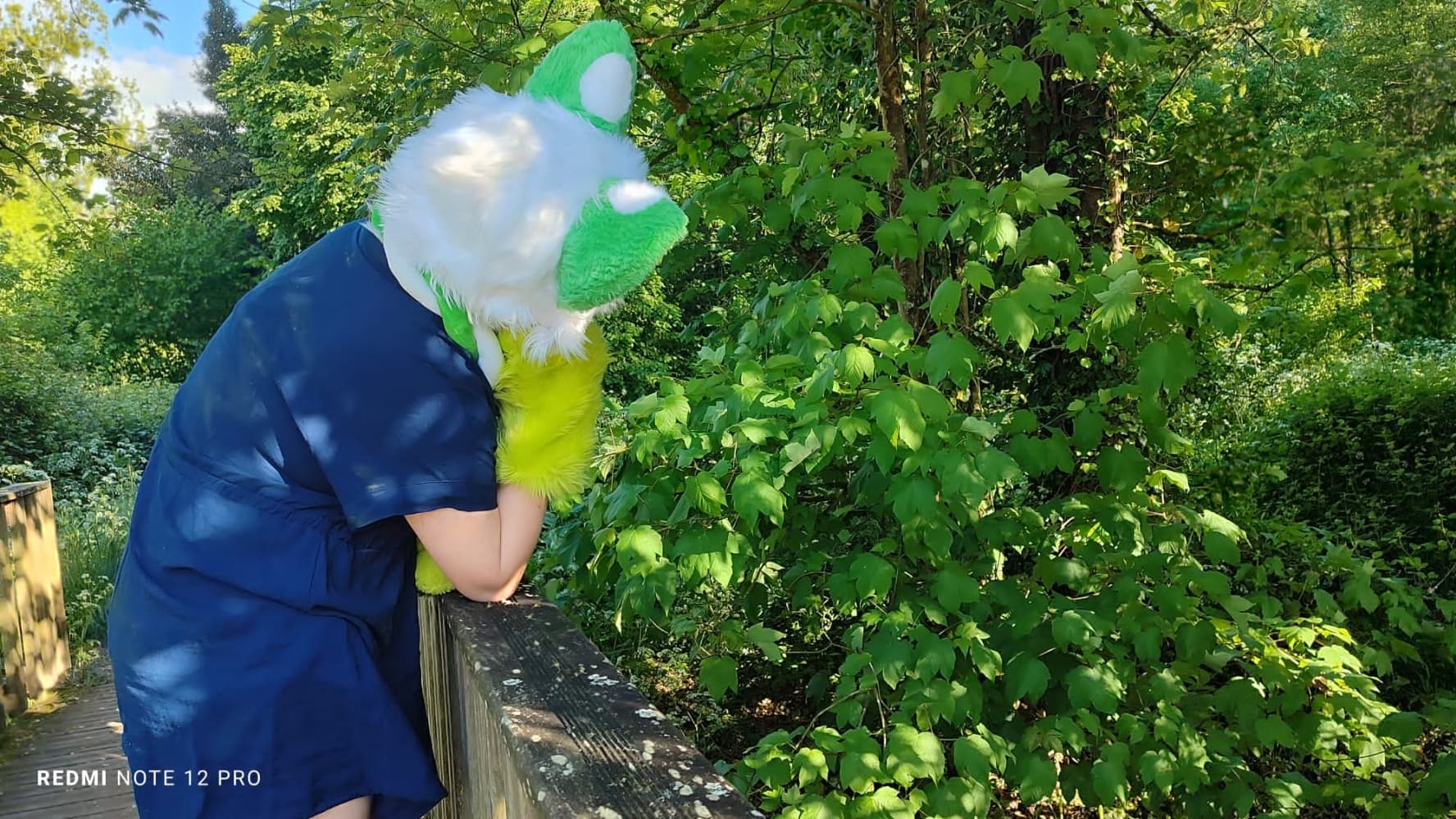 Debut du printemps  - Photo 22