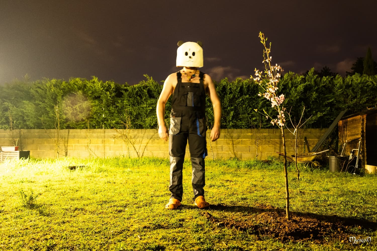 Pandaman test flou - Photo 4