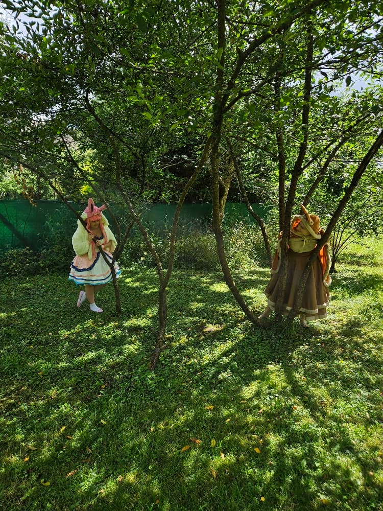 Nymphali forêt  - Photo 2