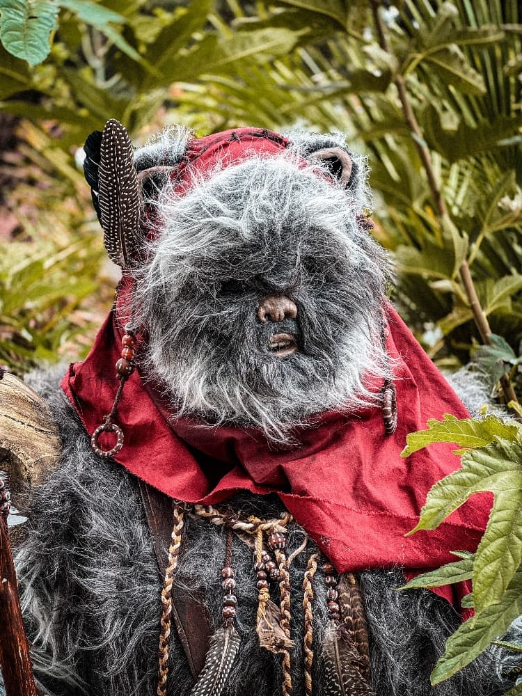 Un Ewok À Vitrolles - Photo 2