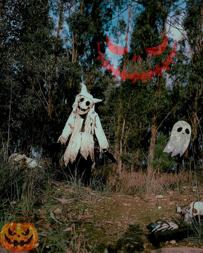 Halloween 2024 - Photo 5