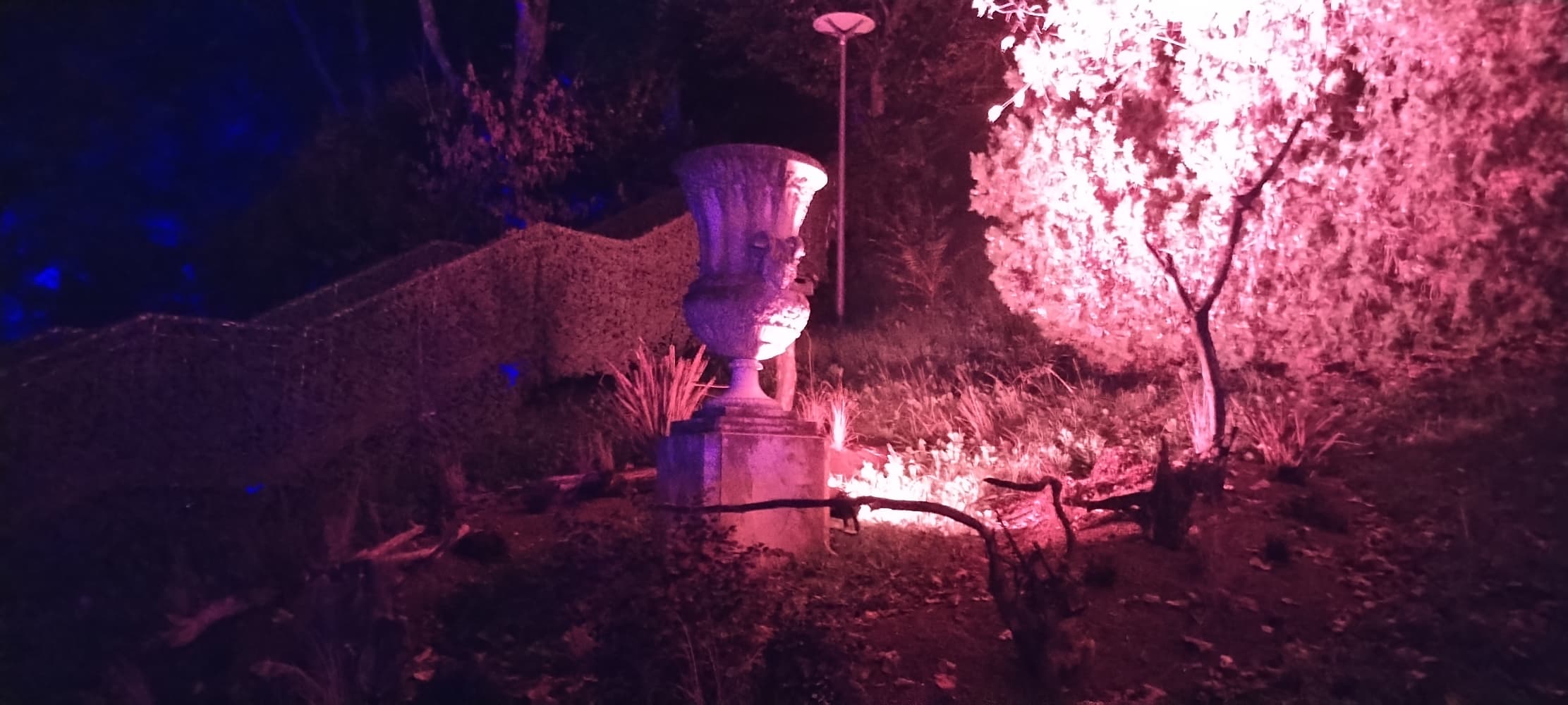 La forêt interdite - Photo 40