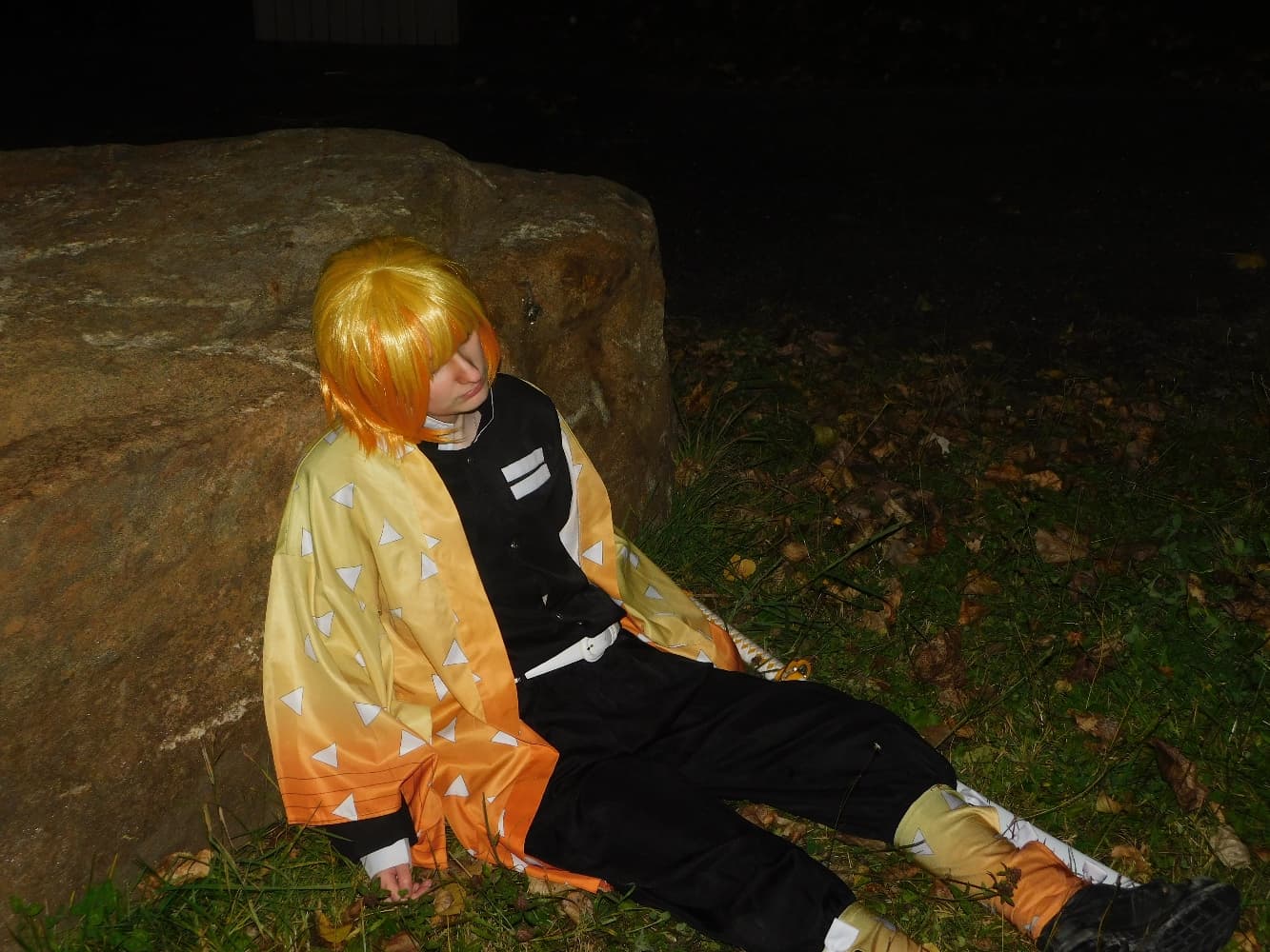 Night Zenitsu - Photo 22