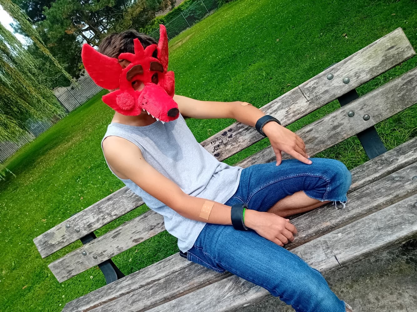 Orchies Festival - Photo 10