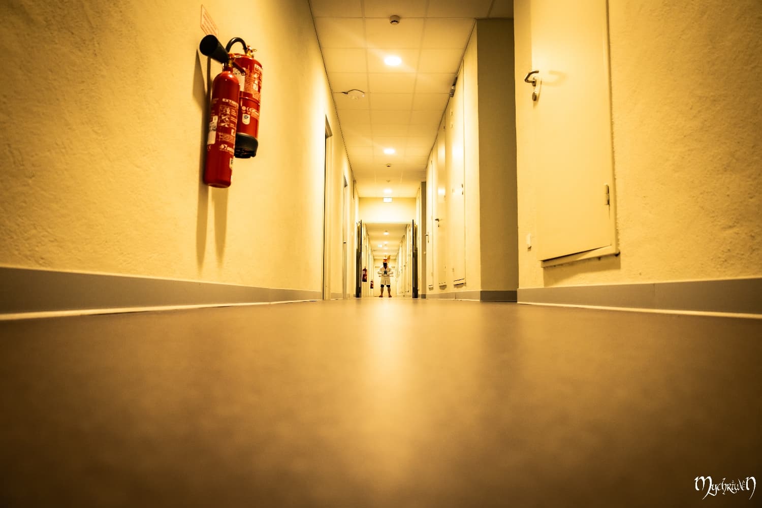 Professor Magicarpe  - Photo 7