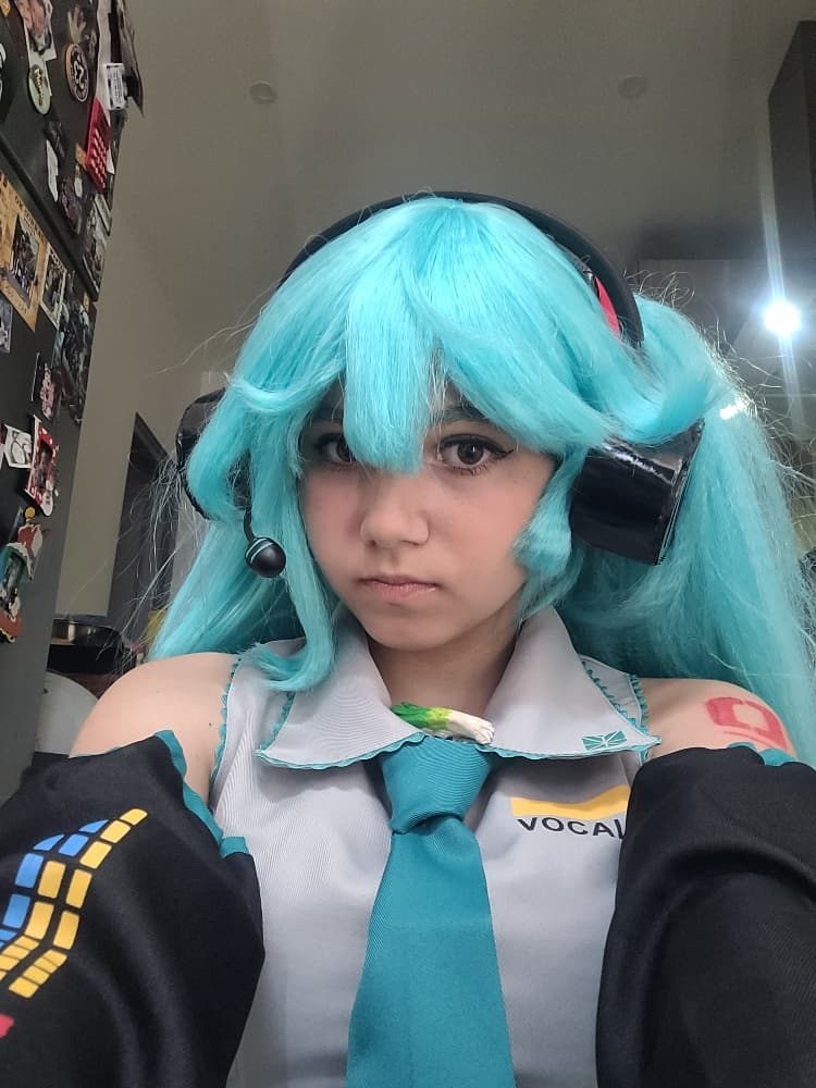 Hatsune Miku 6/25 - Photo 2