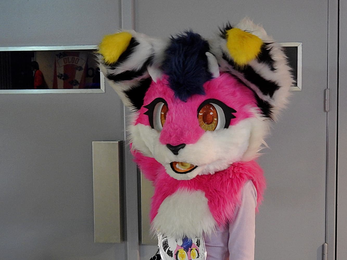 Juno - animasia  - Photo 1