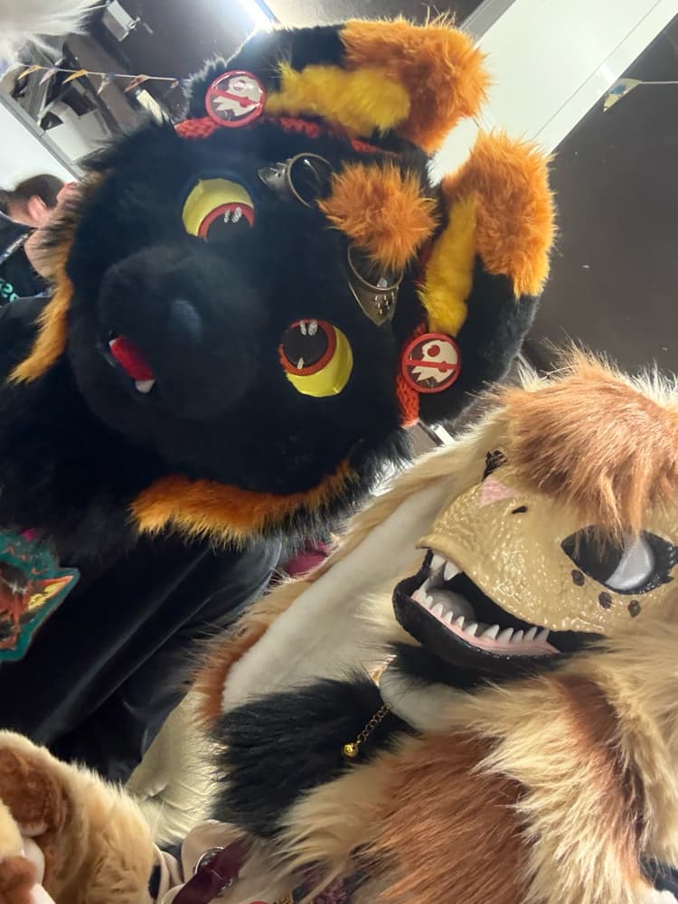 Photos Tapioca - Photo 35