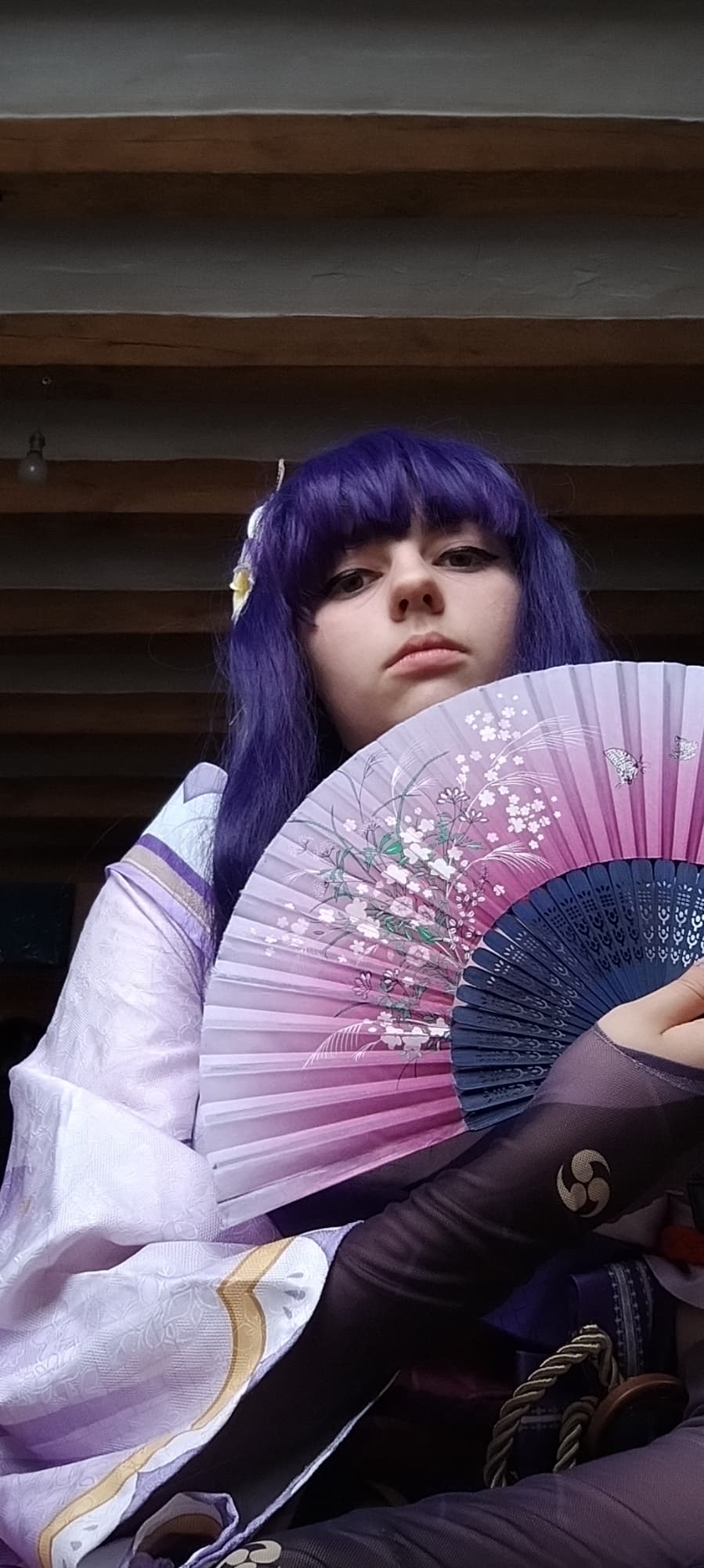Raiden shogun 