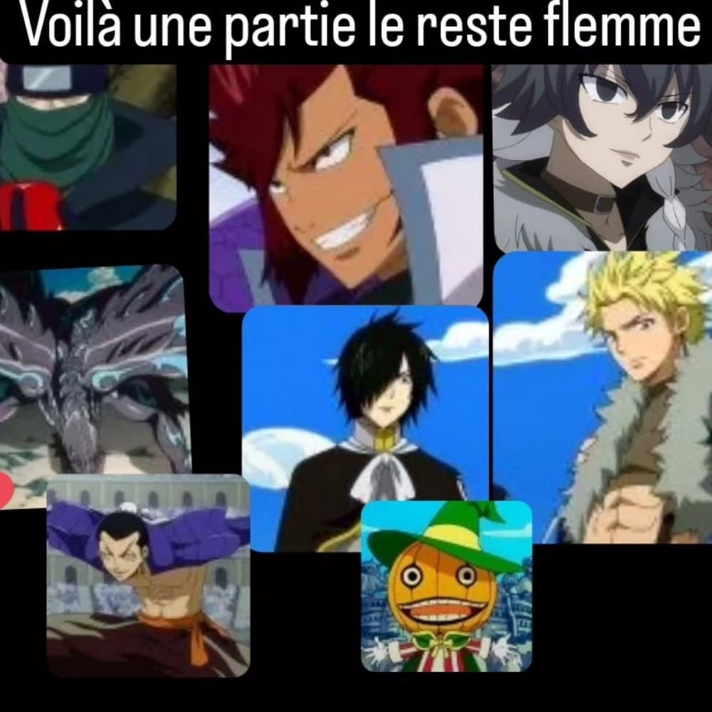 Fairy tail partie 2